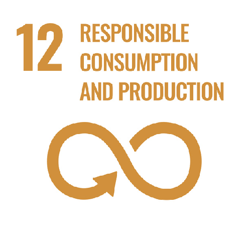 SDG 3